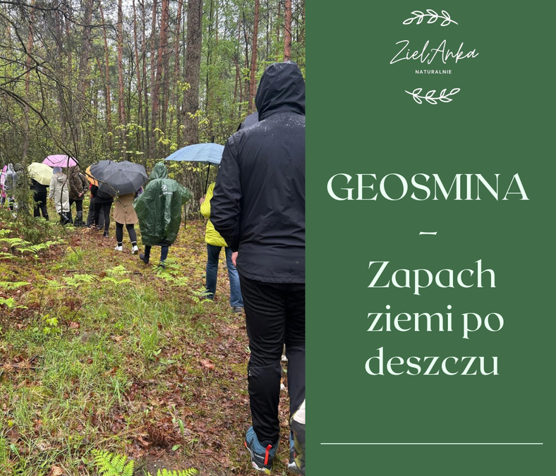 🌧️ GEOSMINA – ZAPACH ZIEMI PO DESZCZU 🌿